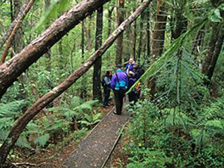 Ruggedy Range™ Wilderness Experience