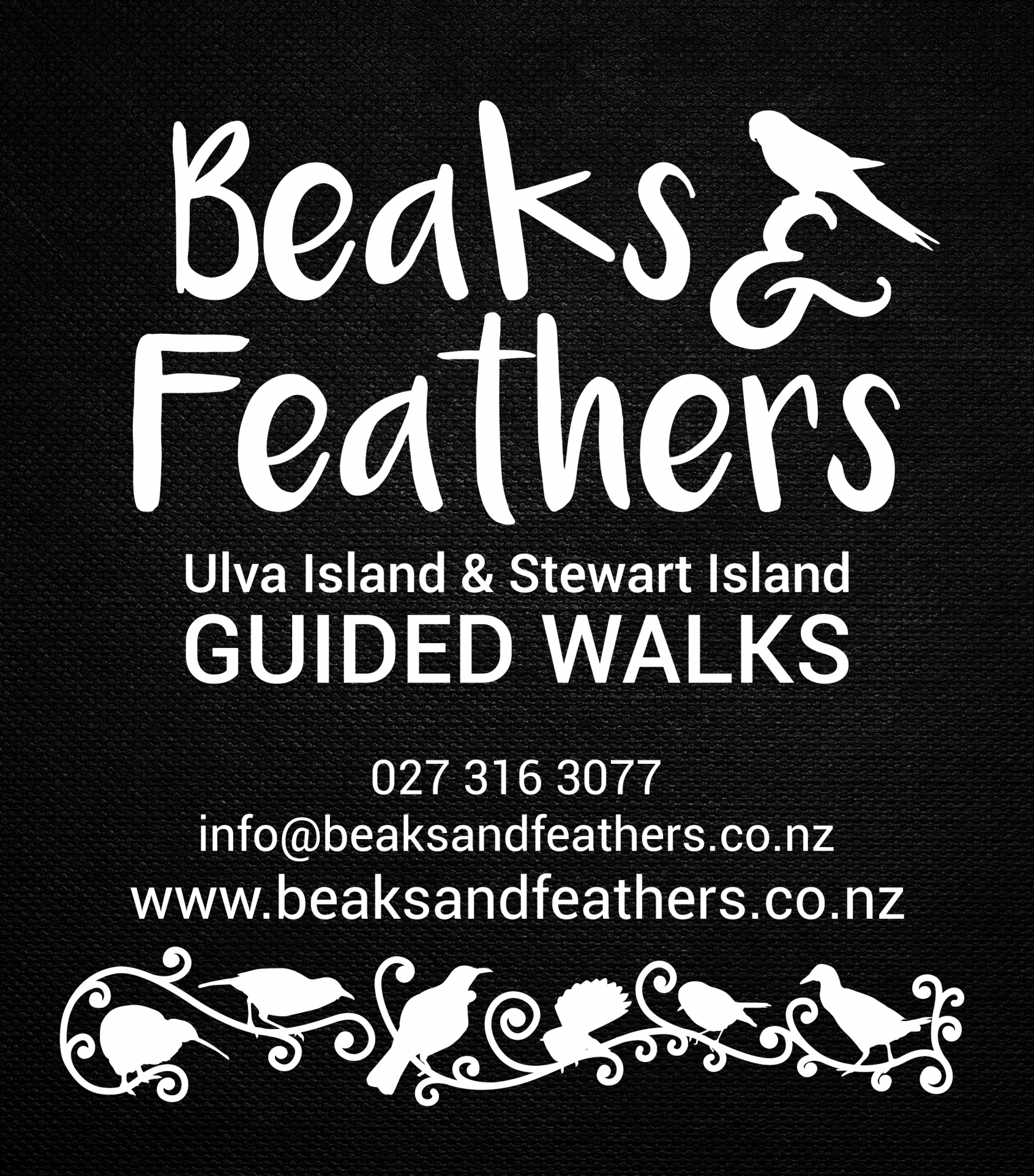 Beaks and Feathers logo