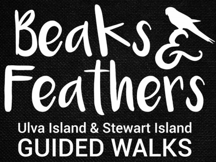 Beaks and Feathers