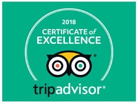 Trip Advisor COE 2018