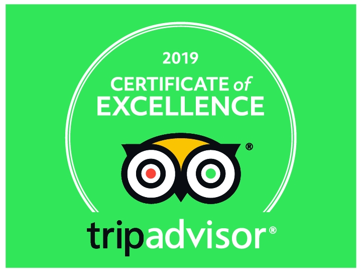 Trip Advisor COE 2019